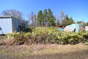 🌱自然派ライフにピッタリ✨北広島市輪厚で”マイ畑”をはじめよう！家庭菜園用売地のご紹介🍠🌽