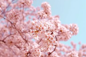🏡 江別市で家を売却するベストなタイミングとは？ 🌟